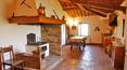 Toscana Immobiliare - For sale in Montalcino Tuscany Farm with vineyards and olive grove