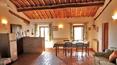 Toscana Immobiliare - For sale in Montalcino Tuscany Farm with vineyards and olive grove