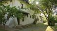 Toscana Immobiliare - Luxury historic villa for sale in Florence, Tuscany, Italy