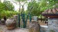 Toscana Immobiliare -