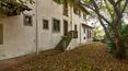 Toscana Immobiliare -