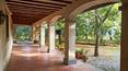 Toscana Immobiliare -