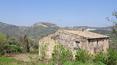 Toscana Immobiliare - Farmhouse for sale in Civita di Bagnoregio, Lazio