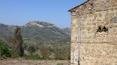 Toscana Immobiliare - Farmhouse to be restored for sale in Civita di Bagnoregio with a panoramic view of the town of Civita
