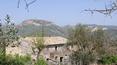 Toscana Immobiliare - Farmhouse to be restored for sale in Civita di Bagnoregio with a panoramic view of the town of Civita