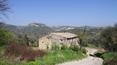 Toscana Immobiliare - Farmhouse to be restored for sale in Civita di Bagnoregio with a panoramic view of the town of Civita