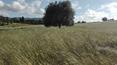 Toscana Immobiliare - Tuscan estate for sale in Florence
