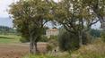 Toscana Immobiliare -