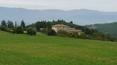 Toscana Immobiliare - Tunuta in vendita a firenze, Toscana