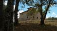 Toscana Immobiliare - Rustici, Casali in vendita a Laterina Pergine Valdarno