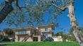 Toscana Immobiliare - Prestigious villas for sale in Tuscany province of Arezzo