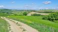 Toscana Immobiliare - Typical Tuscan stone farmhouse to be restored for sale in Montepulciano Siena