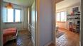 Toscana Immobiliare - single villa with garden for sale in Sinalunga, Siena