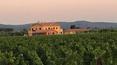 Toscana Immobiliare - Accommodation business for sale Castagneto Carducci, Bolgheri, Livorno