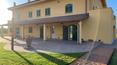 Toscana Immobiliare - Unterkunftsgeschäft zu verkaufen Castagneto Carducci, Bolgheri Livorno