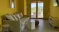 Toscana Immobiliare - Castagneto Carducci, Bolgheri, Livorno Attività ricettiva in vendita