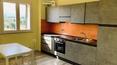 Toscana Immobiliare - Castagneto Carducci, Bolgheri, Livorno Attività ricettiva in vendita