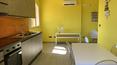 Toscana Immobiliare - Commerce de logement à vendre Castagneto Carducci, Bolgheri, Livourne,