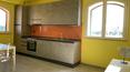 Toscana Immobiliare - Commerce de logement à vendre Castagneto Carducci, Bolgheri, Livourne,