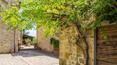 Toscana Immobiliare - Estate with hunting reserve for sale in Chianti, Tuscany