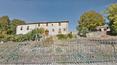 Toscana Immobiliare - Winery for sale Chianti, Tuscany
