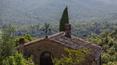 Toscana Immobiliare - Immobili di pregio, ville e case di campagna toscane in vendita a Monte San savino, Arezzo