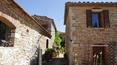 Toscana Immobiliare - rustici, case di campagna e casali in vendita a rapolano terme, Siena, ToscanaToscana