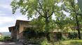 Toscana Immobiliare - Tuscany. Villa with garden for sale in Arezzo.