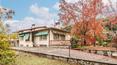 Toscana Immobiliare - Toscana Villa con jardín en venta en Arezzo.
