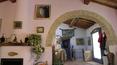 Toscana Immobiliare - Real estate property for sale in Trequanda, Castelmuzo, Siena, Toscana