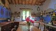 Toscana Immobiliare - Case in vendita in Val d\'Orcia Trequanda Castelmuzio