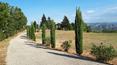 Toscana Immobiliare - Farmhouse with land for sale in Radicofani, Valdorcia, Siena