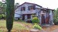 Toscana Immobiliare - Casale con terreno in vendita a Radicofani, Valdorcia, Siena