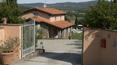 Toscana Immobiliare - Villa con piscina e giardino vendita Monte San Savino, Arezzo, Toscana
