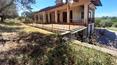 Toscana Immobiliare - Detached villa with garden for sale in Tuscany, Torrita di Siena