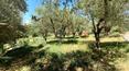 Toscana Immobiliare - Detached villa with garden for sale in Tuscany, Torrita di Siena
