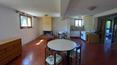 Toscana Immobiliare - Torrita di Siena, Tuscany, for sale Detached house with garden