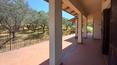 Toscana Immobiliare - Detached villa with garden for sale in Tuscany, Torrita di Siena