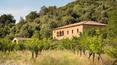 Toscana Immobiliare - Toscana Immobiliare vende proprietà di prestigio in Italia