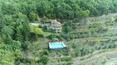 Toscana Immobiliare - Country house, villa with swimming pool for sale in Arezzo, Tuscany