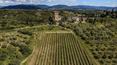 Toscana Immobiliare - Wine estate with castle for sale in Florence in Tuscany