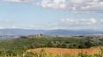Toscana Immobiliare - Luxury estate for sale in Siena, Tuscany