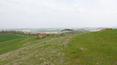Toscana Immobiliare - Farmhouse to be restored for sale in Monteroni d'Arbia, Siena, Toscana