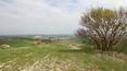 Toscana Immobiliare - Farmhouse to be restored for sale in Monteroni d'Arbia, Siena, Toscana