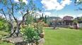 Toscana Immobiliare - Farmhouse with swimming pool for sale in Tuscany, Trequanda, Siena