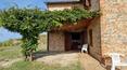 Toscana Immobiliare - Renovated farmhouse for sale on Lake Chiusi, Umbria