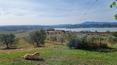 Toscana Immobiliare - Renovated property  for sale on Lake Chiusi, Umbria