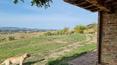 Toscana Immobiliare - Renovated farmhouse for sale on Lake Chiusi, Umbria