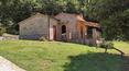 Toscana Immobiliare - Farm with farmhouse for sale Rapolano Terme, Siena