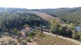 Toscana Immobiliare - Tuscan estate for sale in Rapolano Terme, Siena